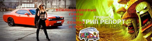 apvp Белоозёрский