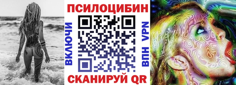 ОМГ ОМГ ссылки  Ершов  Галлюциногенные грибы Cubensis 